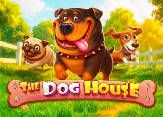 pkk89 The Dog House ทดลองเล่นฟรี